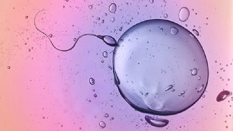 علل، عوارض و درمان عدم تخلیه اسپرم