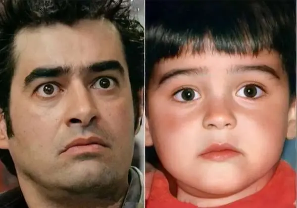 شهاب الدین حسینی