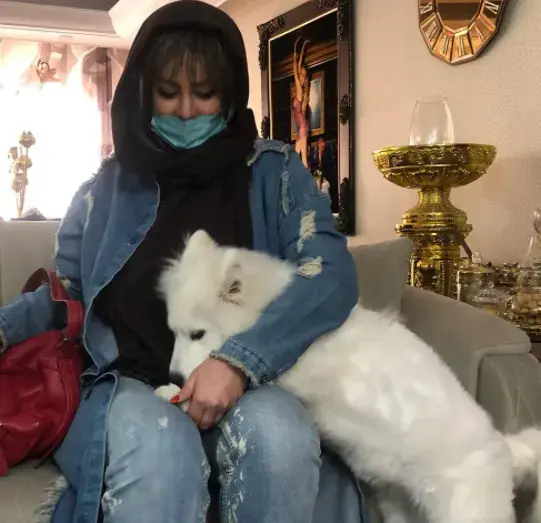 ac-image-5o16145881569o