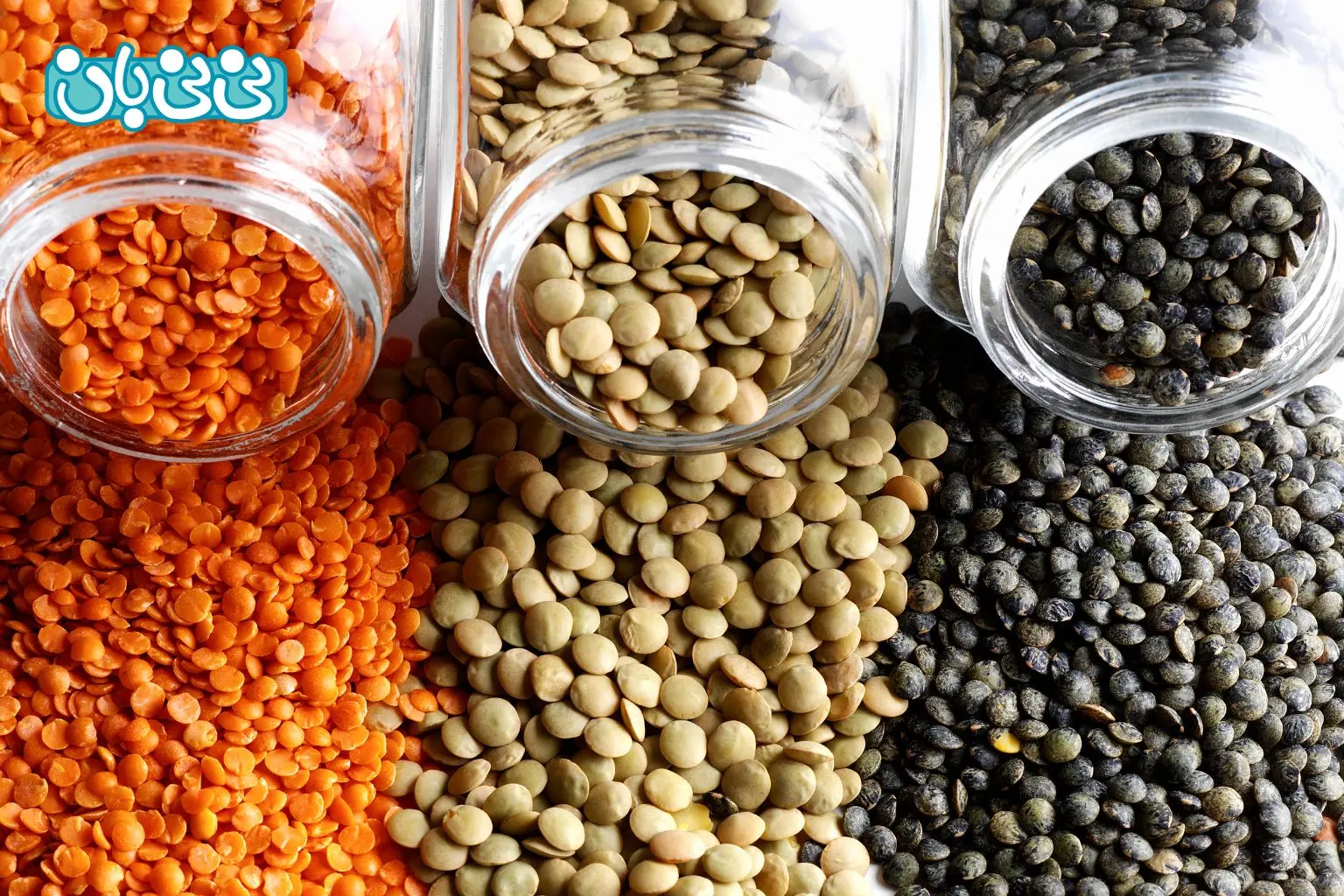 انواع عدس کدام_اند
