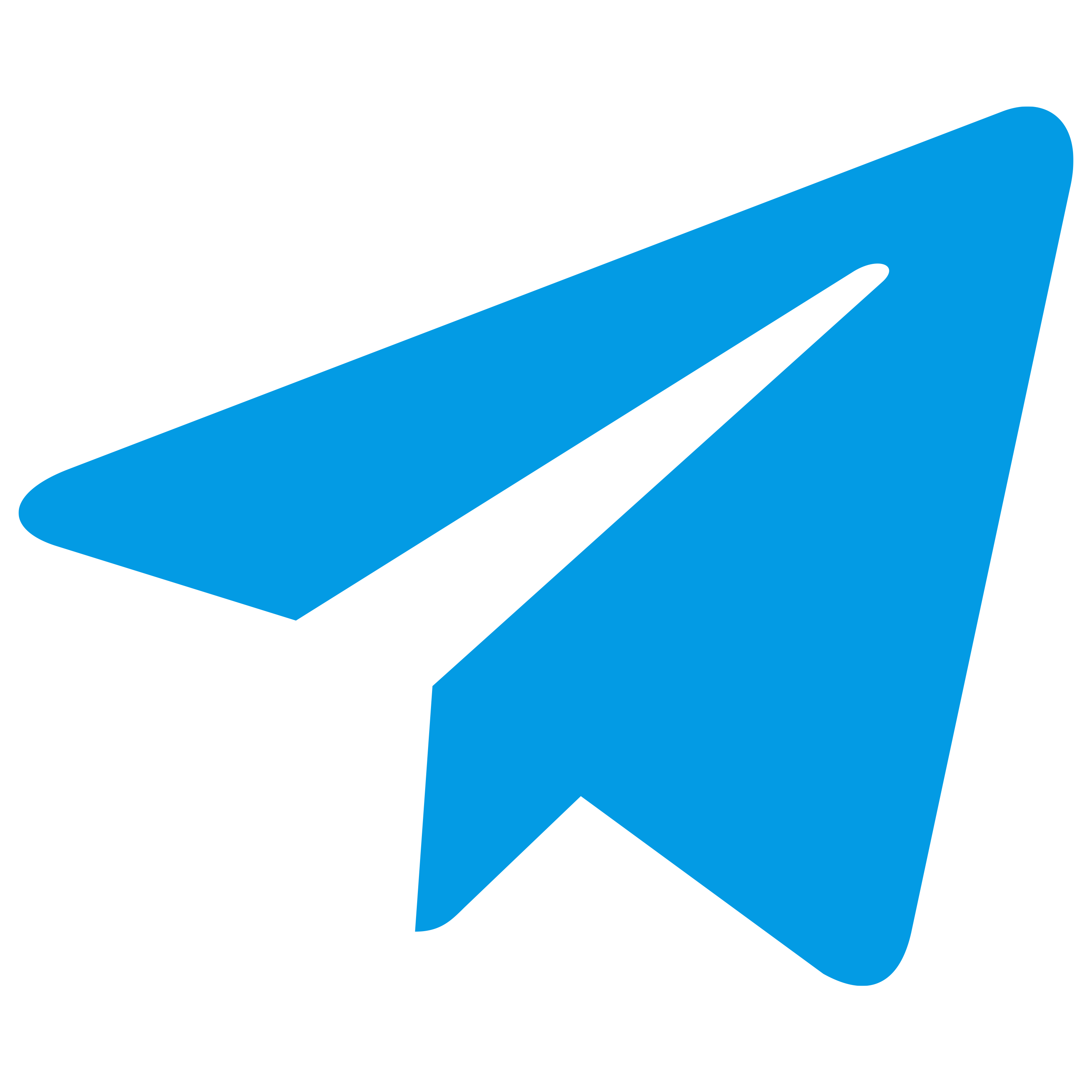 WEB icon