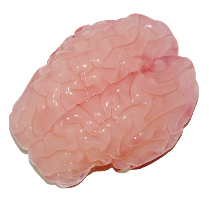 FoldedBrainSquare