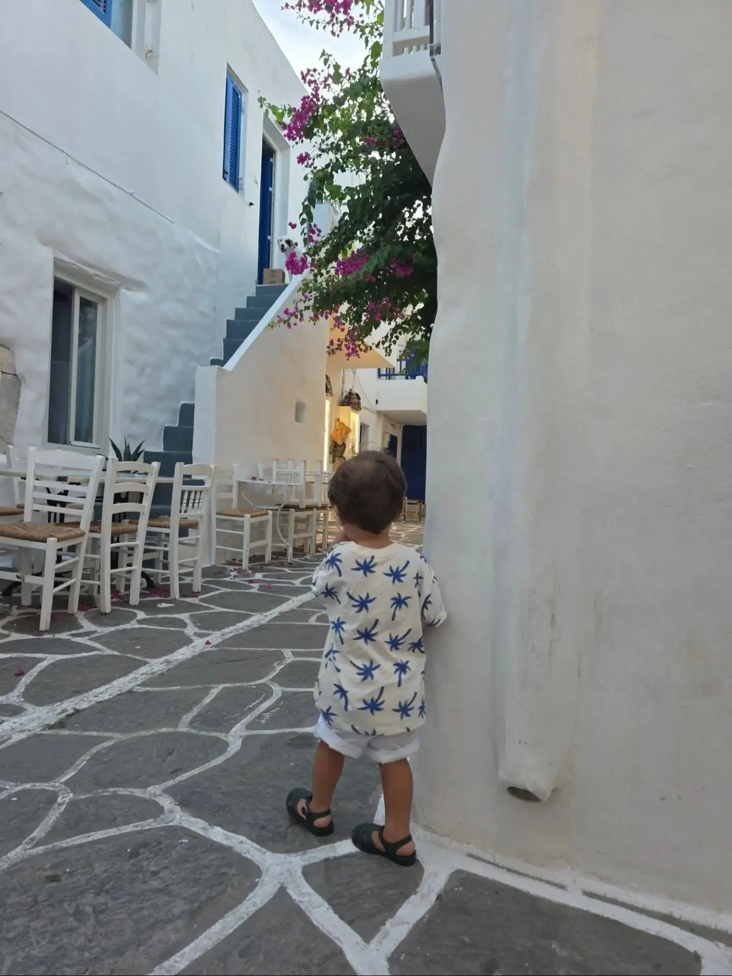 بهرام رادان