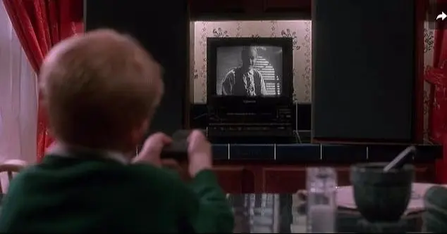 تنها در خانه