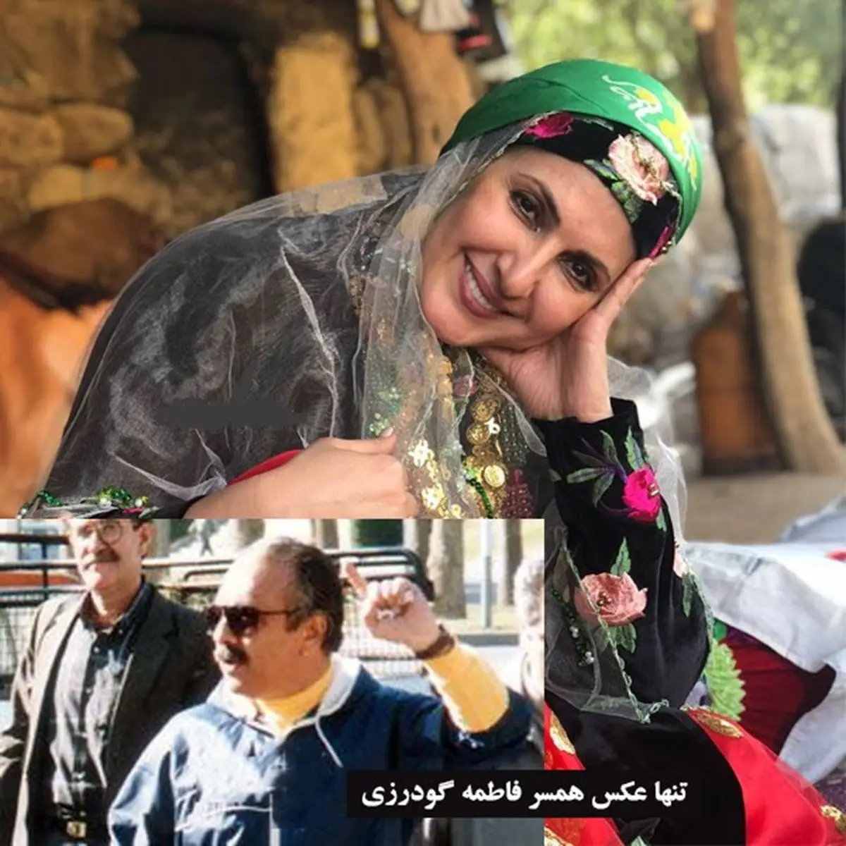 فاطمه گودرزی