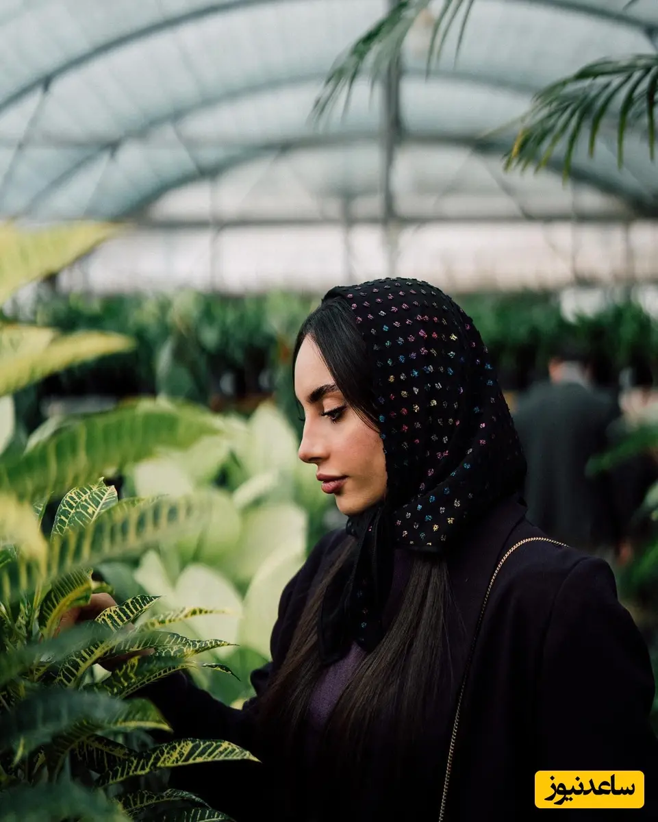 ترلان پروانه