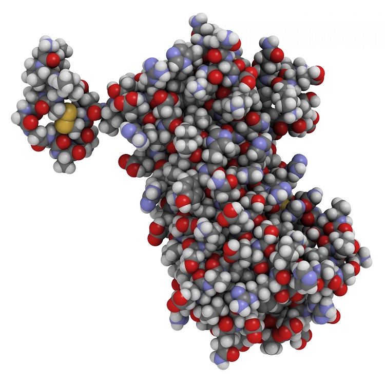 Hyperprol-scaled-1