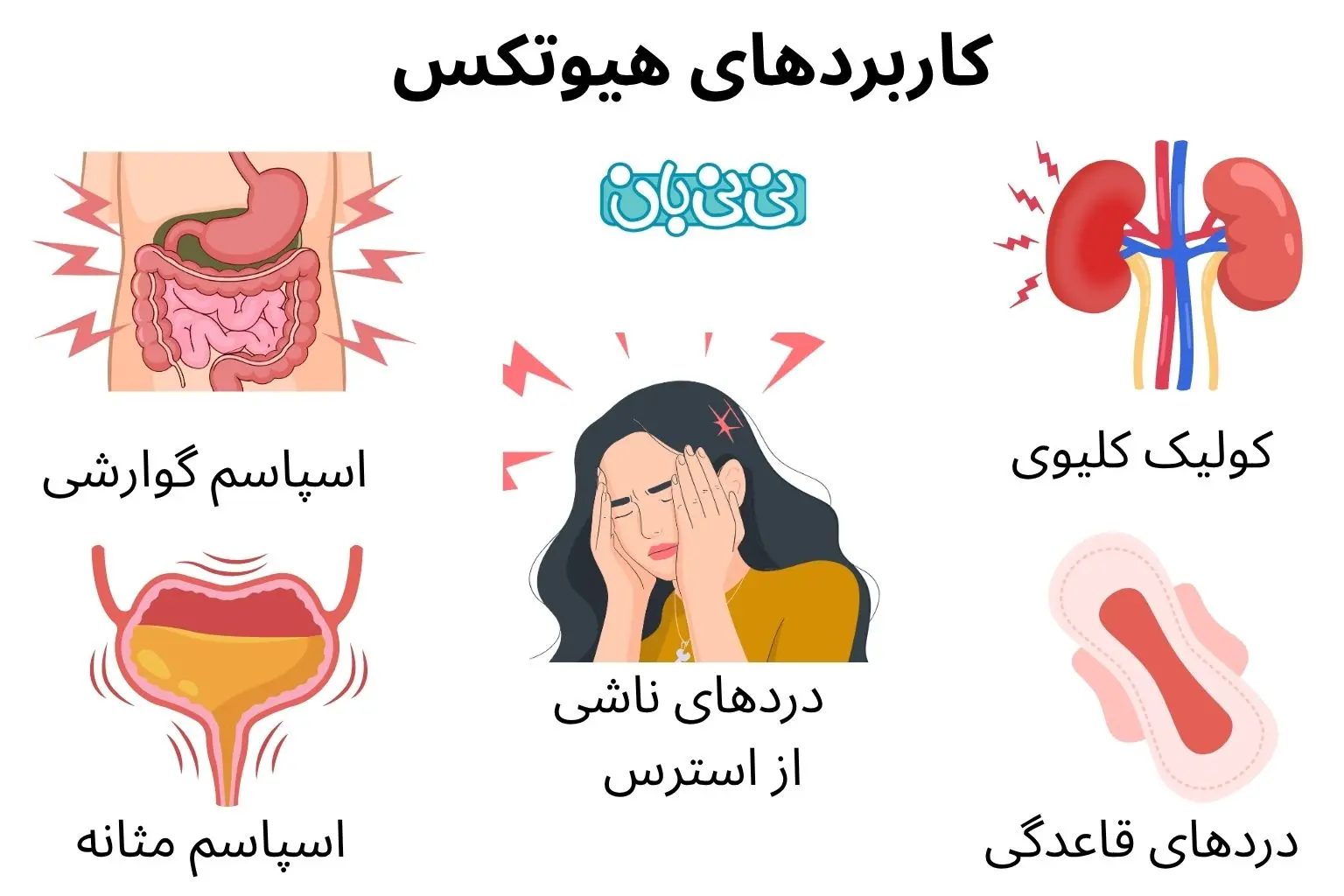 کاربردهای هیوتکس