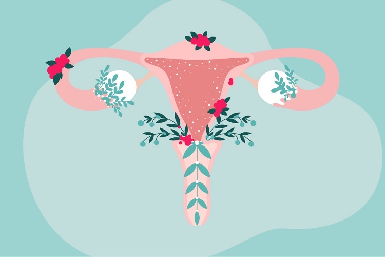 vitality_mar21_10_answers_to_your_most_asked_menopause_questions-HERO