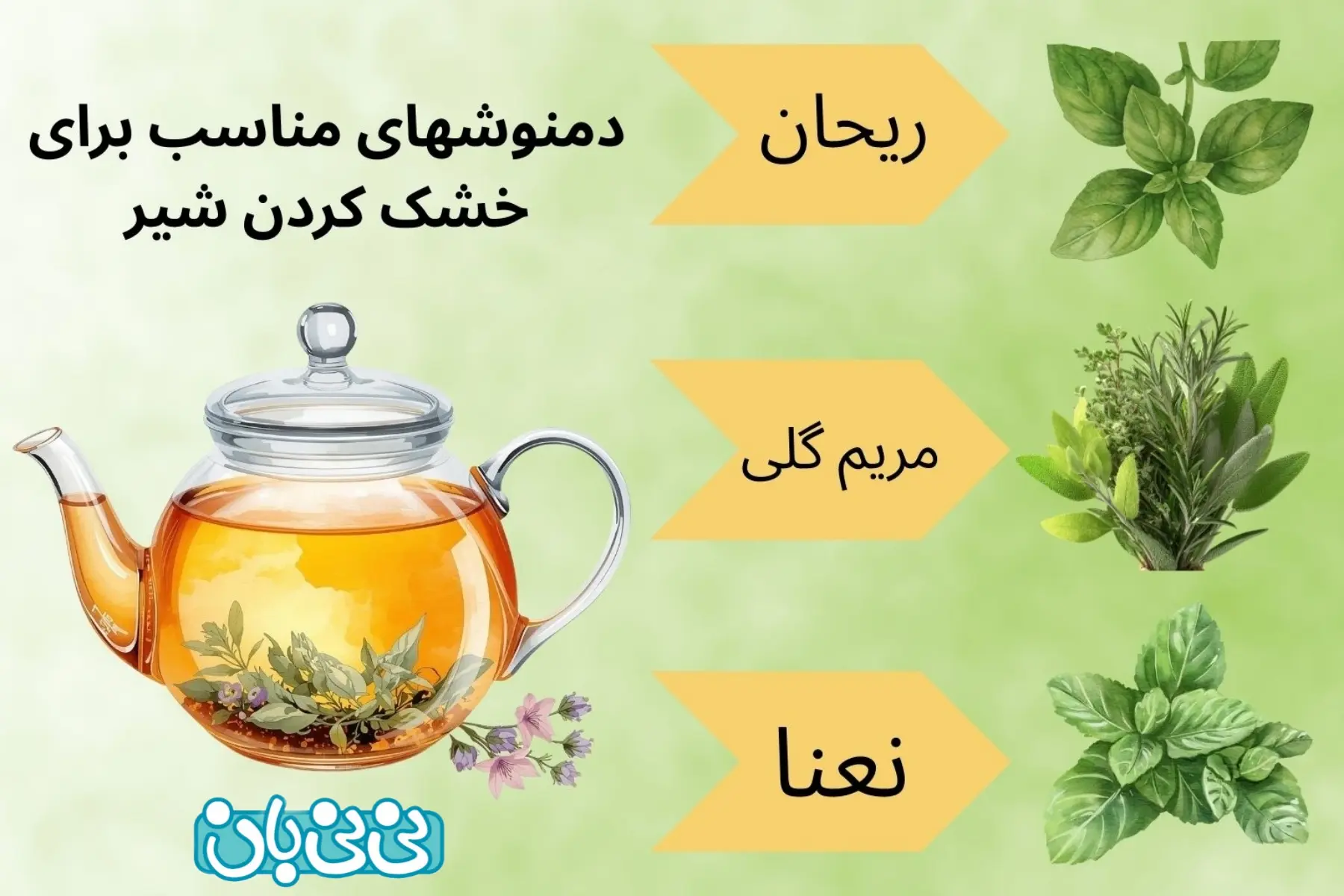  برای خشک شدن شیر چی بخوریم