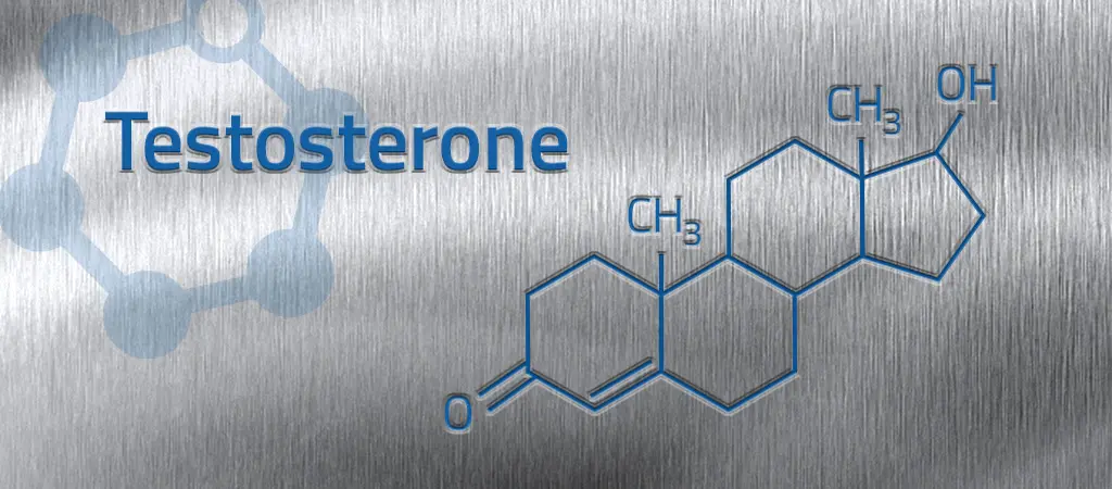 testosterone-banner