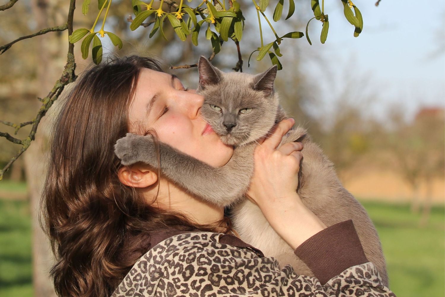 cats-humans