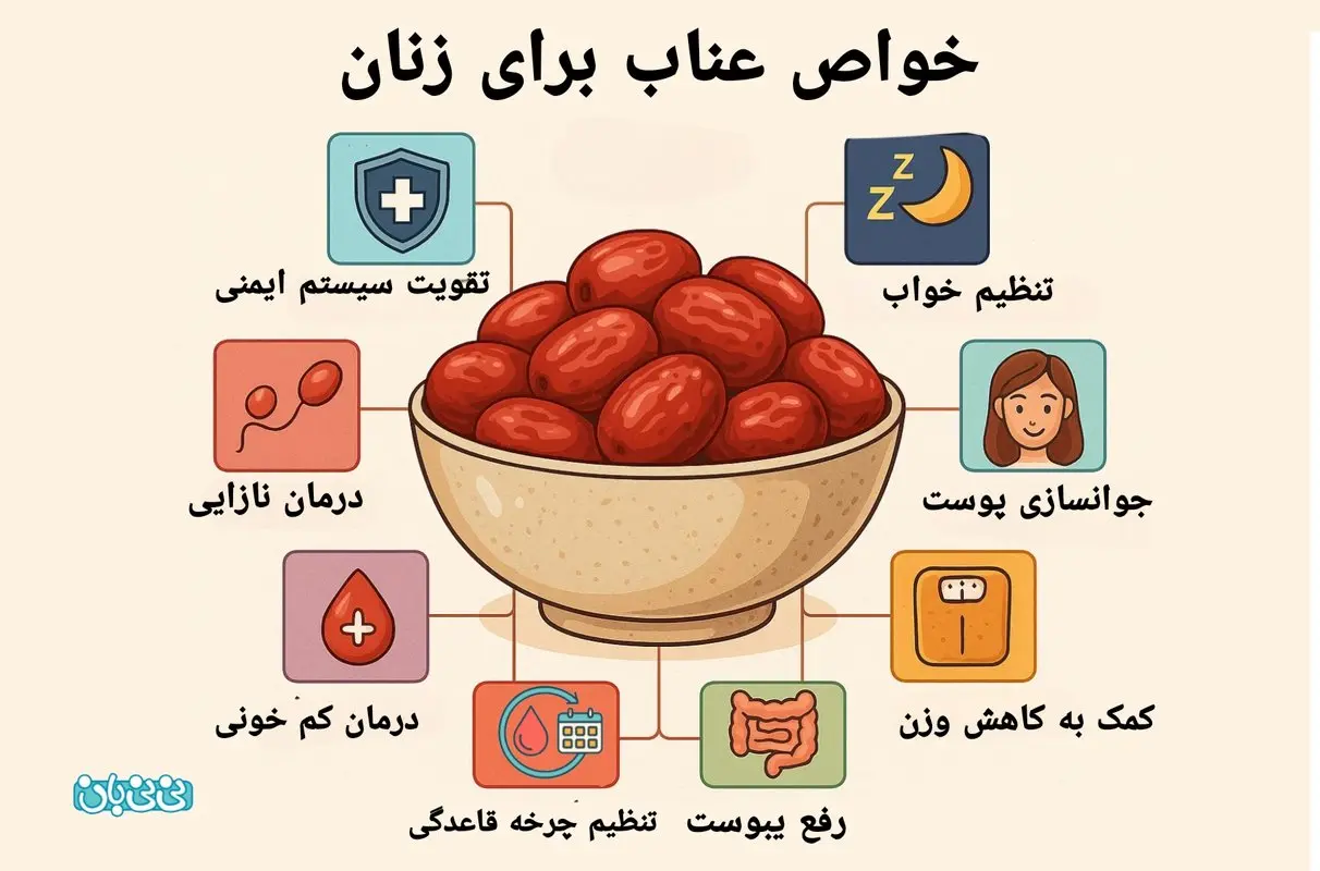 عناب برای زنان - ۸ خواص در بهترین زمان مصرف + میزان مصرف مجاز