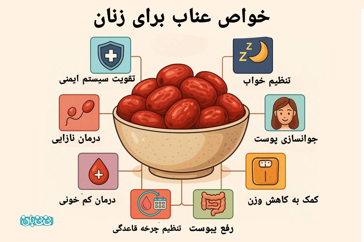 ۸ خاصیت عناب برای زنان - میزان مجاز و بهترین زمان مصرف