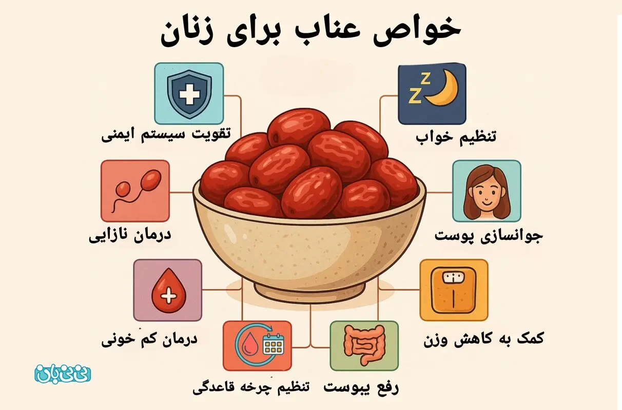 خواص عناب برای زنان - بهترین زمان مصرف + میزان مصرف مجاز 