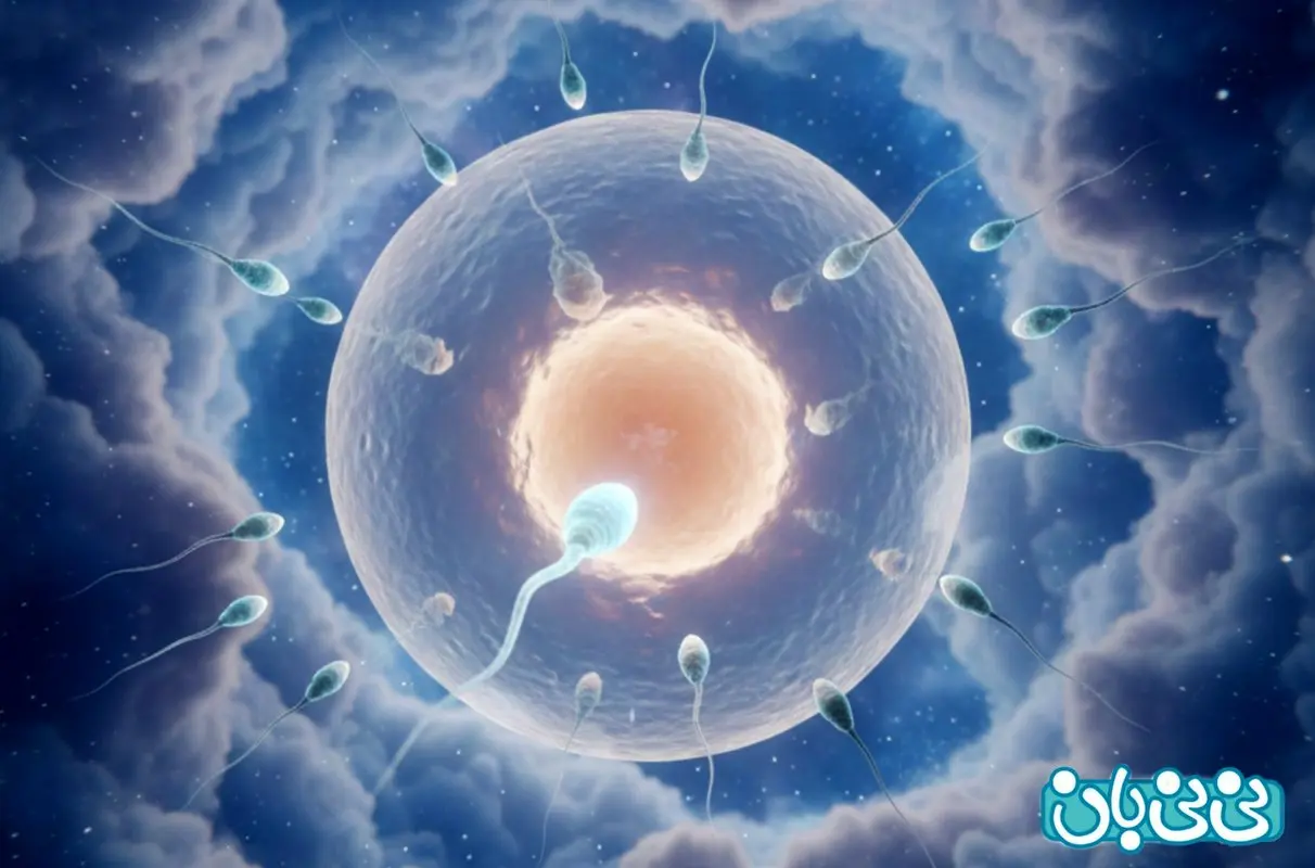 میزان دخول برای بارداری چقدر باید باشد؟ 6 اقدام قبل از دخول