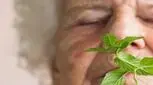 بوی نعنا می‌تواند به درمان آلزایمر کمک کند