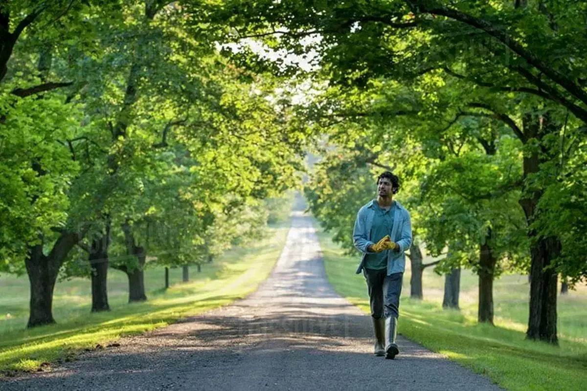 قدم زدن و کاهش ریسک ابتلا به ۱۳ نوع سرطان