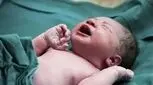 تولد بیش از ۷۲ هزار نوزاد در ۳۲ روز جنگ 