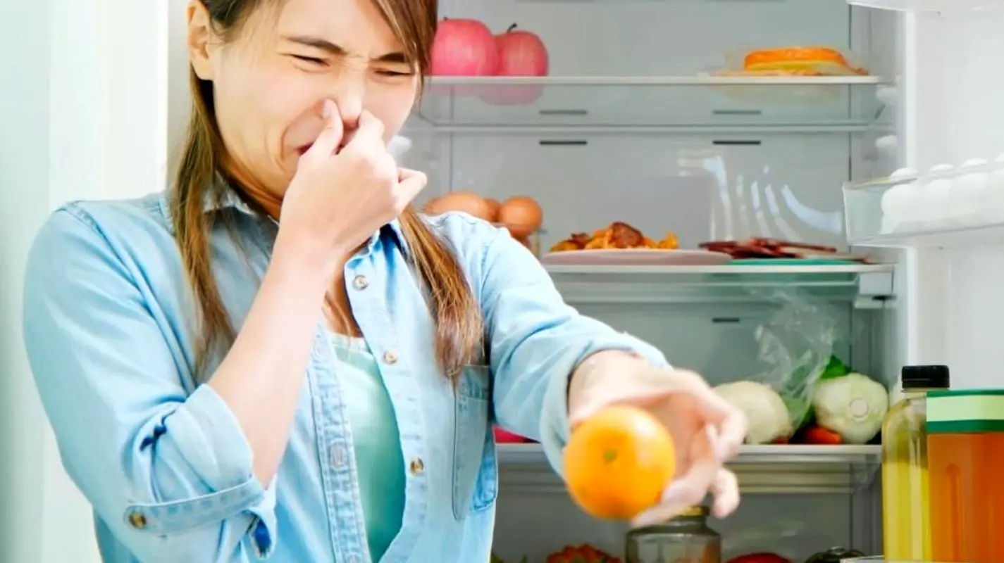 ترفند خانگی رفع بوی بد یخچال فریزر / ۵ روش فوری نابودی بوی بد یخچال که کسی نمی‌داند!