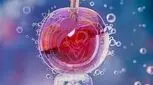 از عوارض IVF خبر دارید؟ 