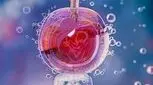 از عوارض IVF خبر دارید؟ 