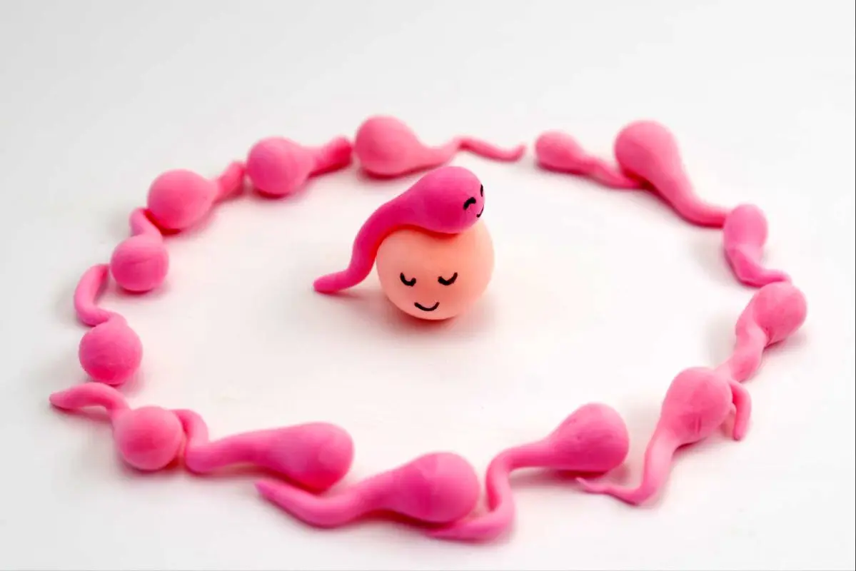 ۵ نشانه لانه‌گزینی که می‌تواند علامت اولین بارداری باشد