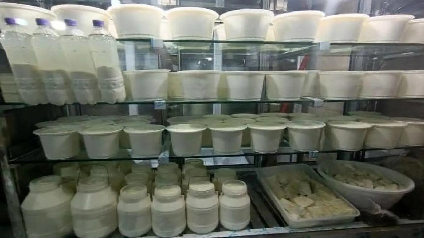 از لبنیات سنتی استفاده می‌کنید؟/ حتما این مطلب را بخوانید