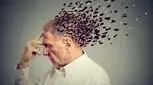 سیر تا پیاز آلزایمر را بدانید / مردان بیشتر در خطر هستند یا زنان؟ 