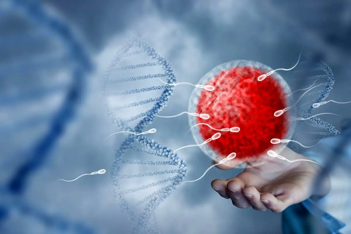 راکوتان؛ درمان ناباروری مردان با یک داروی ضدجوش