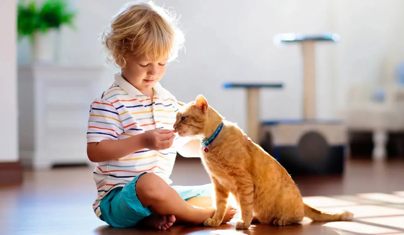 برای کودکمان، حیوان خانگی بیاوریم یا نه؟

