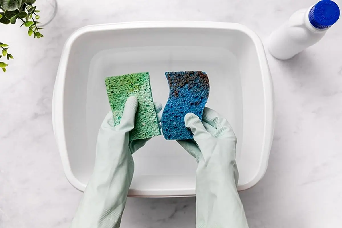 اسکاچ ظرفشویی رو اینطوری ضدعفونی کن/3 ترفند برای تمیز کردن اسکاچ 