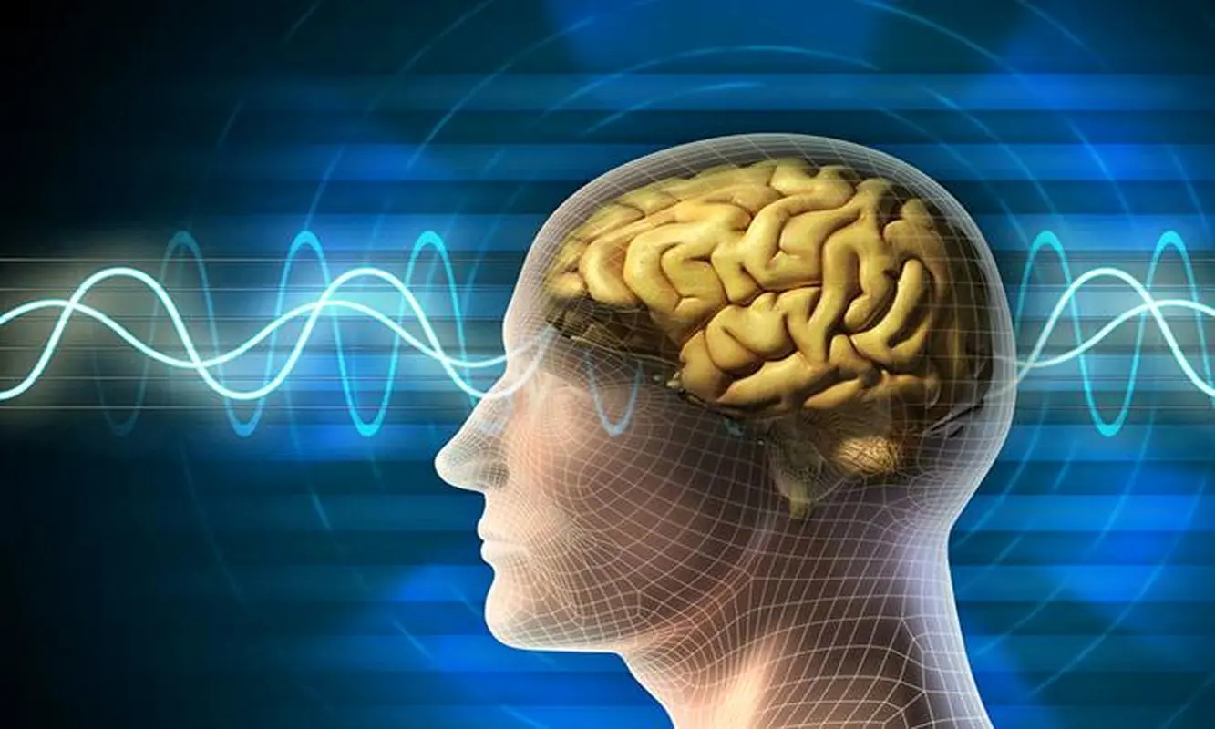 چگونه ۳ روزه فعالیت مغزمان را بهبود ببخشیم؟

   