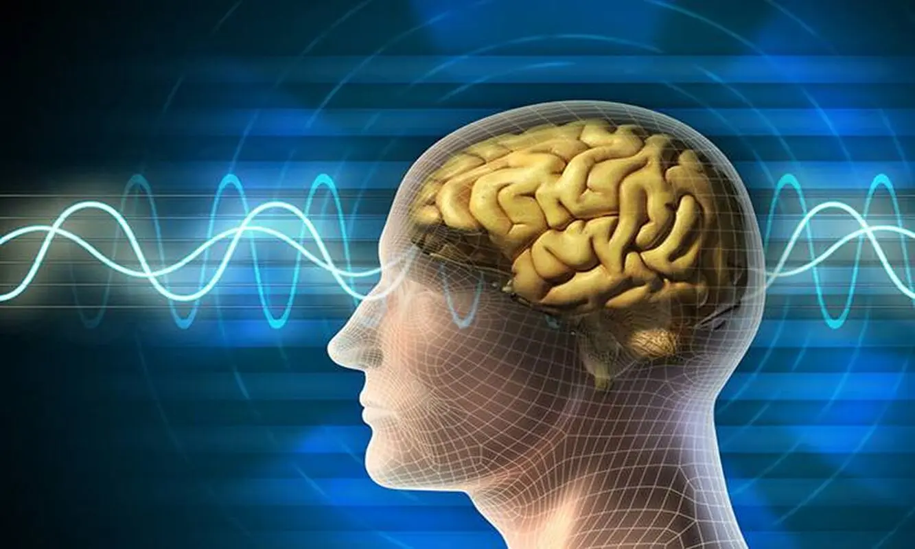 چگونه ۳ روزه فعالیت مغزمان را بهبود ببخشیم؟

   