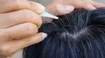 فرضیه بیشتر شدن موهای سفید با کندن چقدر درست است؟

 