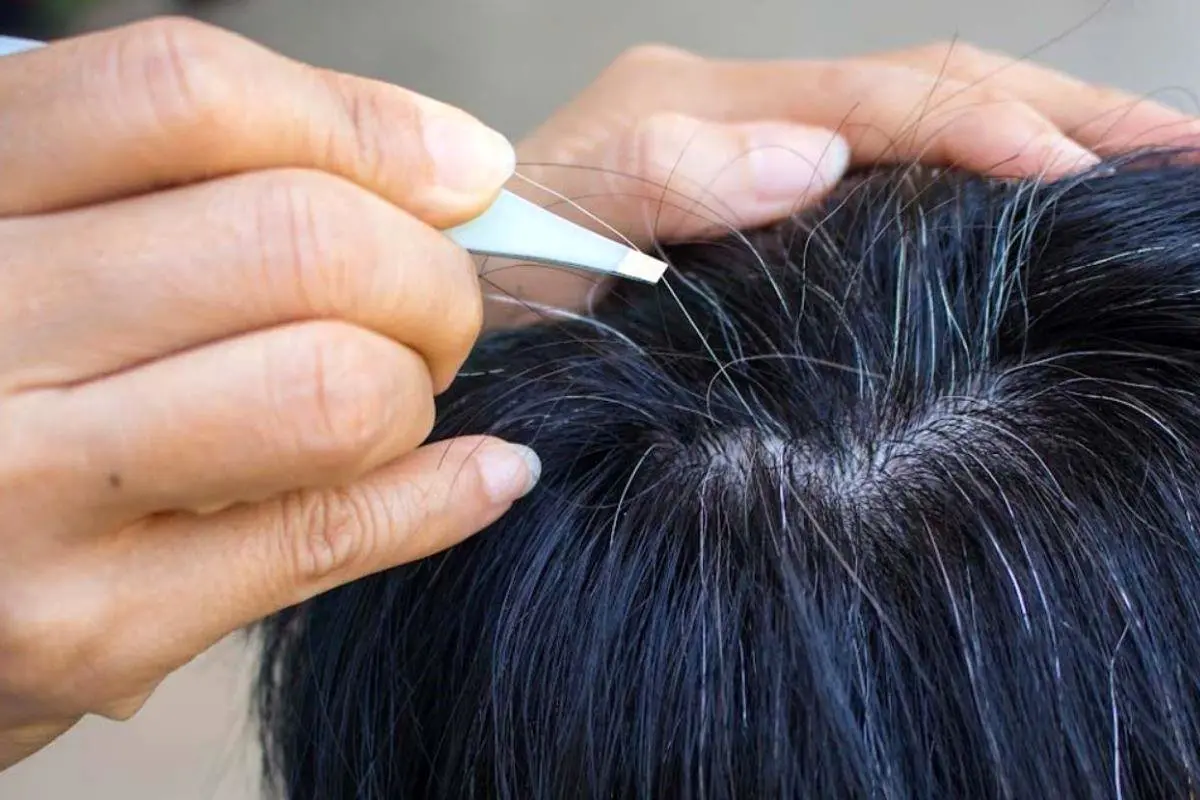 فرضیه بیشتر شدن موهای سفید با کندن چقدر درست است؟

 