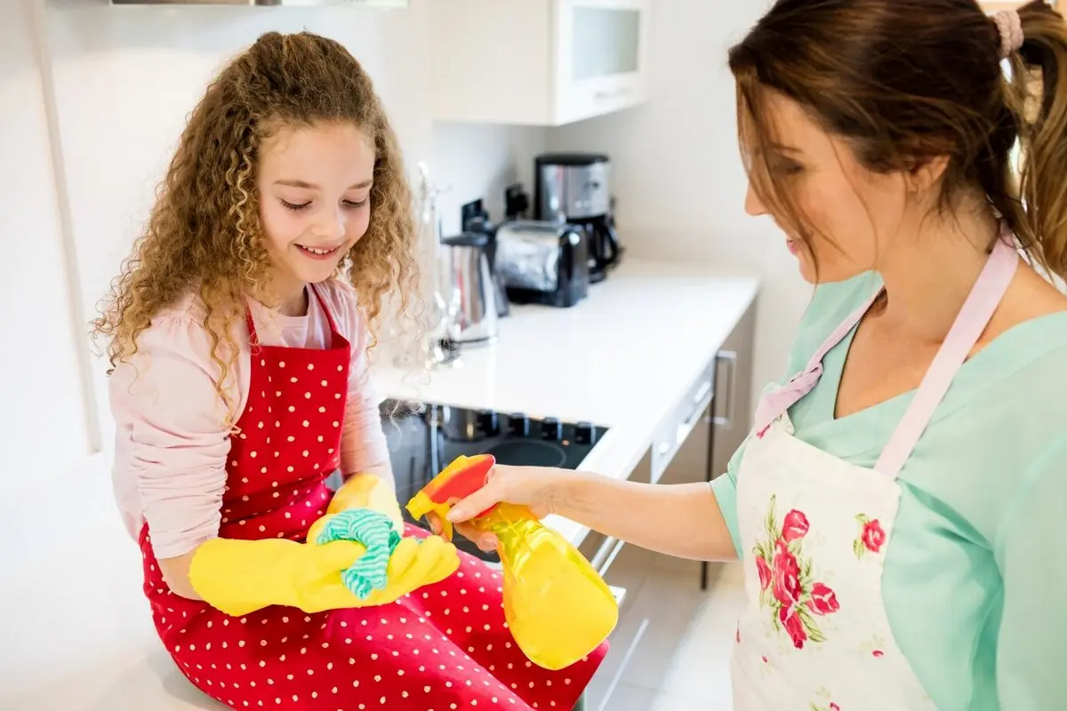 5 فوت و فن خانه تکانی و تمیزکاری مخصوص خانم های شاغل و پر مشغله