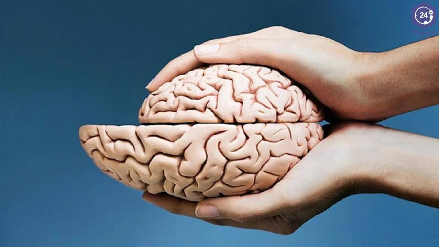 شکلات تلخ بخورید تا مغزتان کوچک نشود