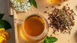 اگر اضطراب و سردرد دارید دمنوش سنبل الطیب بنوشید 