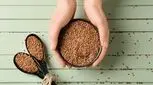 تخم کتان؛ دانه‌ای سرشار از سلامتی