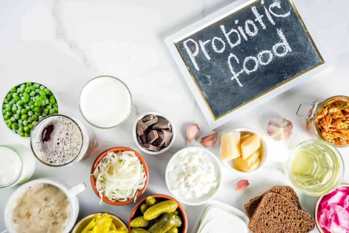 بدن به چه مقدار غذاهای پروبیوتیک نیاز دارد؟/ ماست و کفیر را به رژیم غذایی اضافه کنید