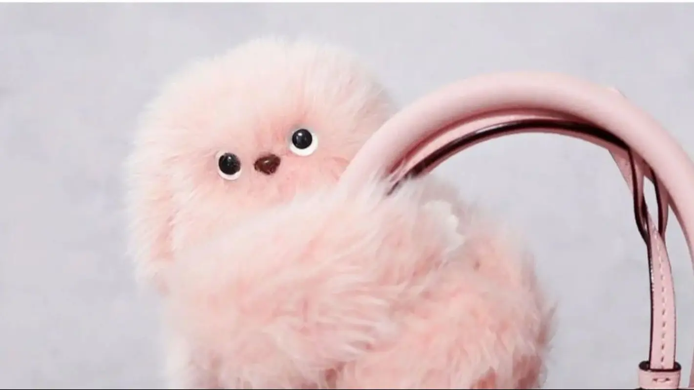 جانشین زیبا و با نمک لبوبو به بازار آمد! (عکس)