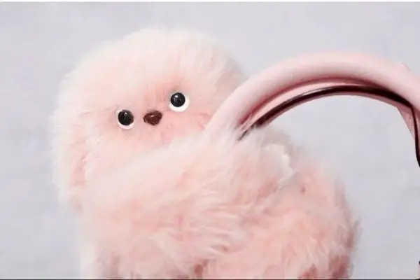 جانشین زیبا و با نمک لبوبو به بازار آمد! (عکس)