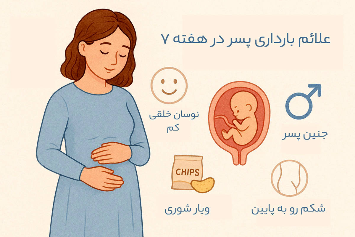 علائم بارداری پسر در هفته 7 چیست؟