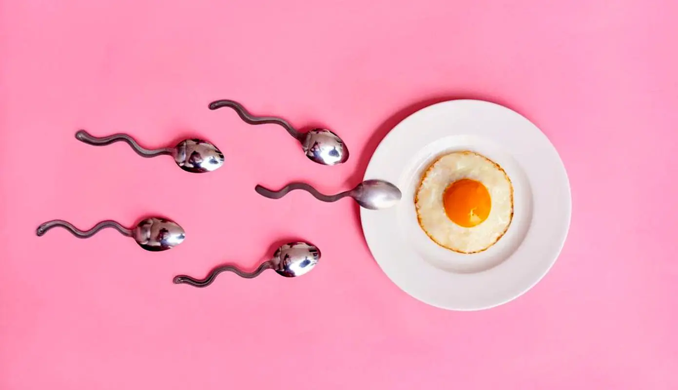 مراحل انجام آی وی اف، چقدر طول میکشد؟