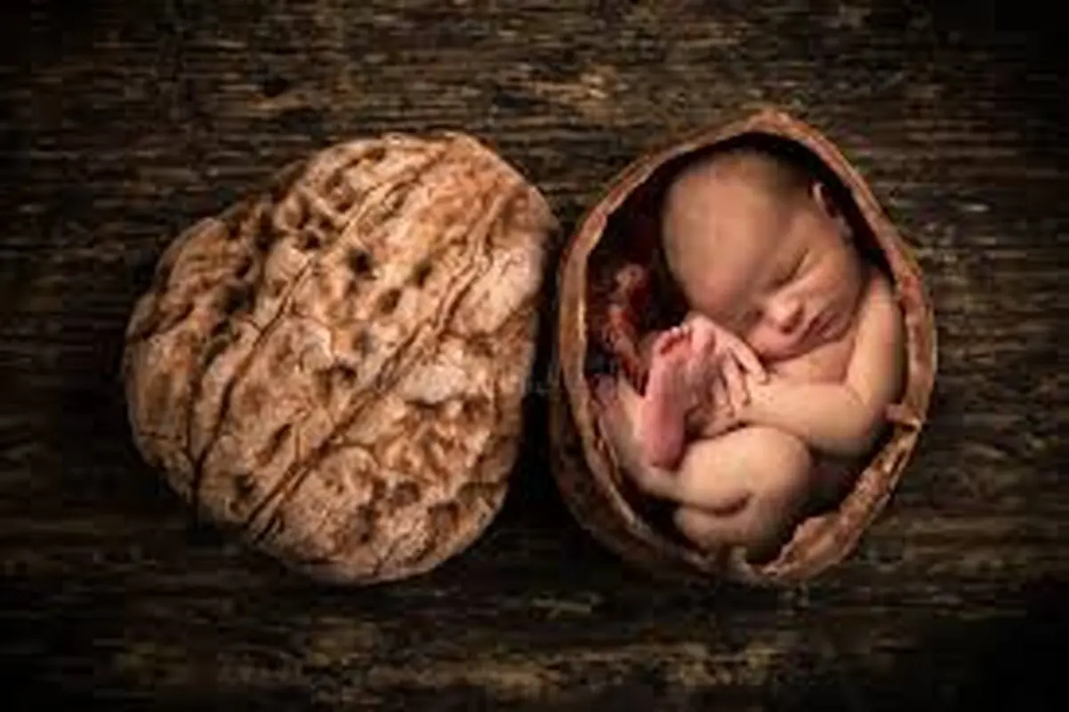 بررسی خواص گردو و پوره آن برای نوزادان زیر یک سال