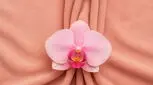 پرده بکارت یا هایمن چیست؟ معرفی ۷ نوع پرده بکارت + عوامل موثر در پارگی