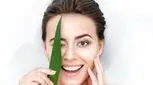 خواص آلوورا برای پوست + مقدار، زمان و روش استفاده