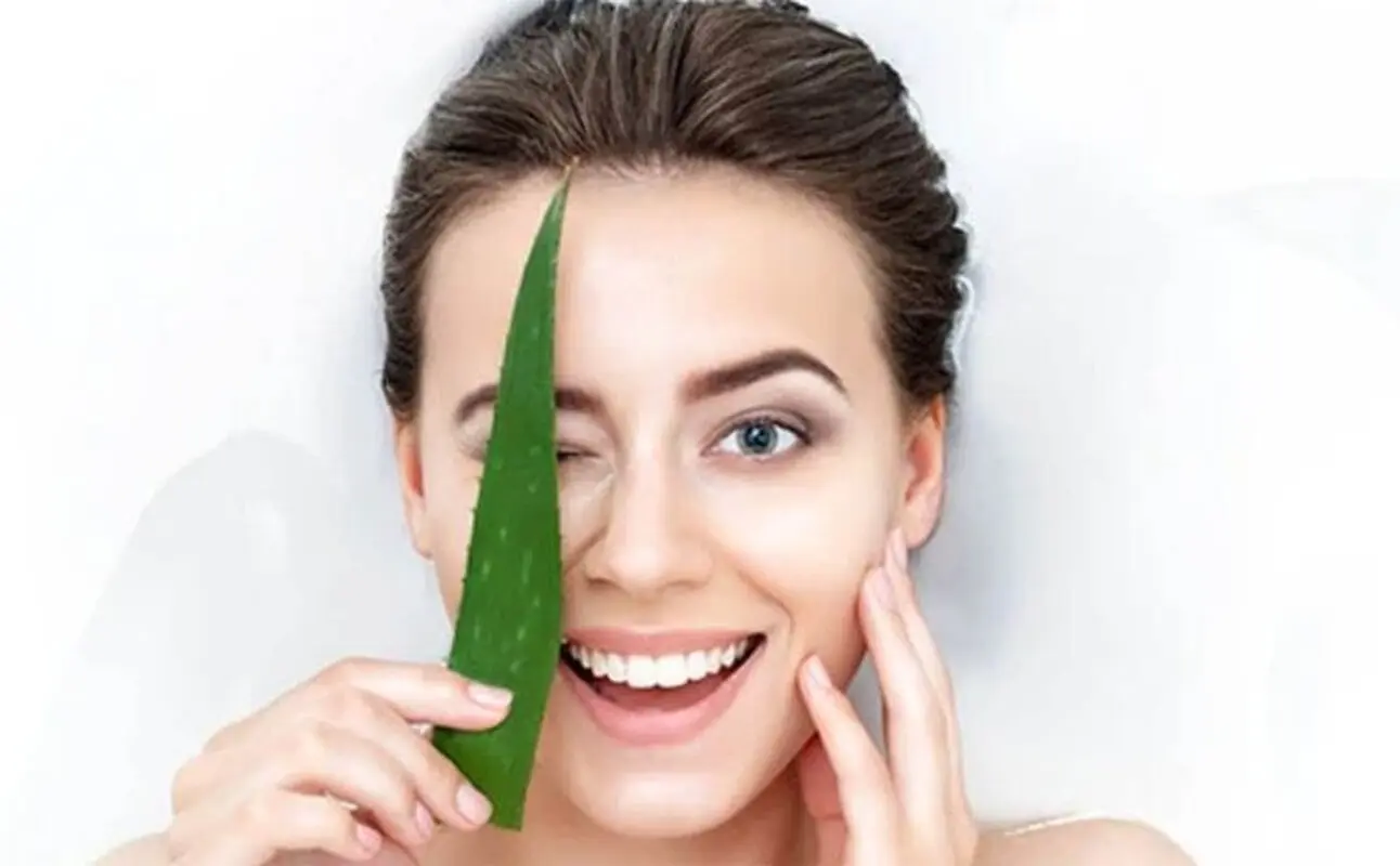 خواص آلوورا برای پوست + مقدار، زمان و روش استفاده
