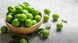 این نوبرانه بهاری اسید معده را بهم می‌ریزد 